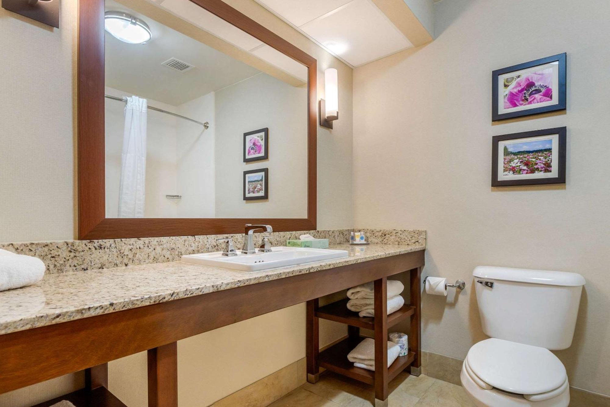Comfort Suites Gastonia - Charlotte Экстерьер фото